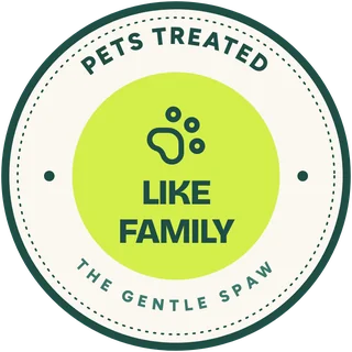 Pets Treated Like Family